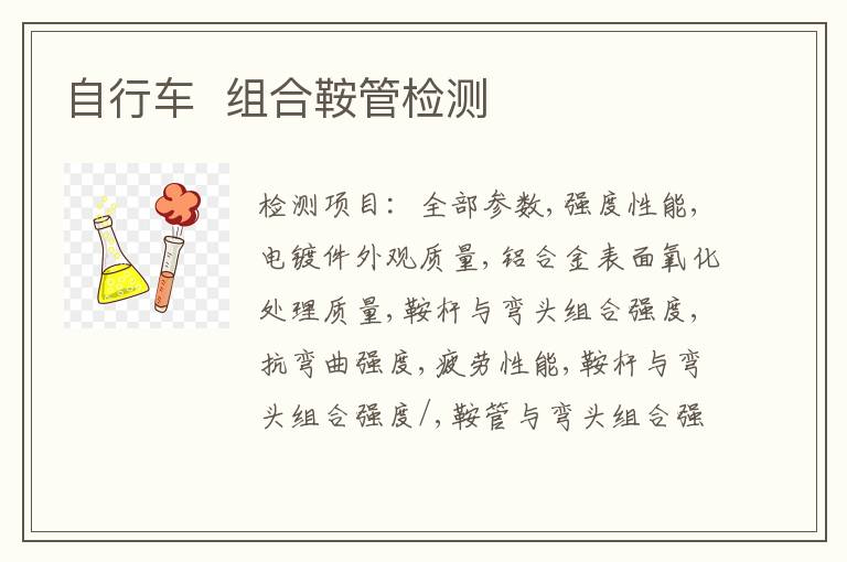 自行车  组合鞍管检测