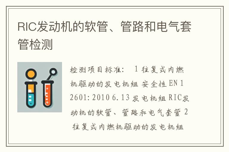 RIC发动机的软管、管路和电气套管检测