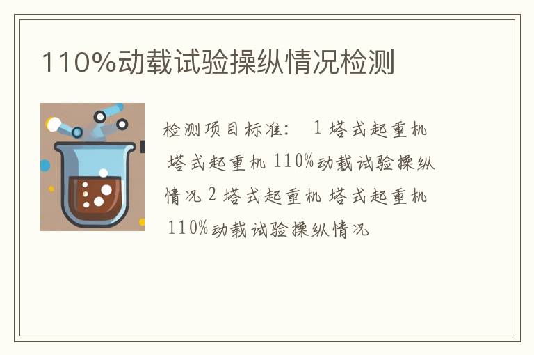110%动载试验操纵情况检测
