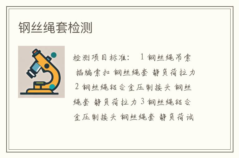 钢丝绳套检测